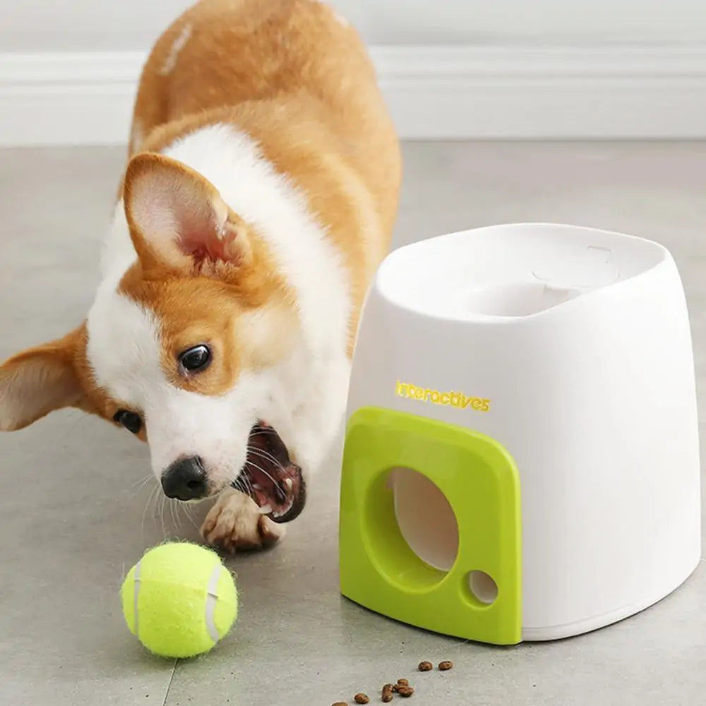 Automatic Interactive Pet Toy Gadgett-Galaxy